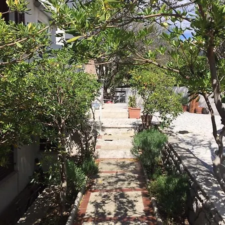 Valentinovo 클레노비차